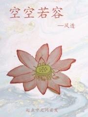 空空若容 风透